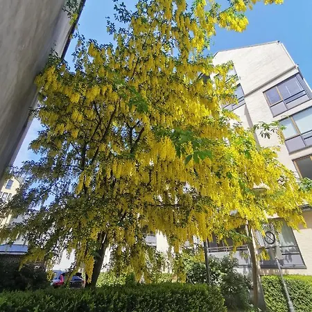 80 Square Metre Flat In The Heart Of - 2 Big Bedrooms * Bergen